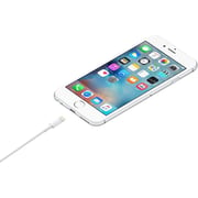 Apple Lightning To USB Cable 1m White