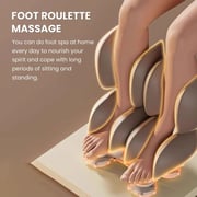 Rotai Royal Magestic Pro Massage Chair A68