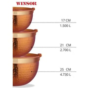 Winsor Multi-Purpose Bowl 3pc Set