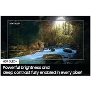 Down payment for Pre-Order Samsung 65 Inch OLED S90D 4K Tizen OS AI Smart TV (2024) - QA65S90DAUXZN