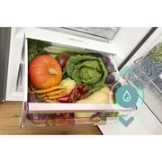 Gorenje Upright Refrigerator 398 Litres R619DAXL6UK + Upright Freezer FN619EAXL6LUK
