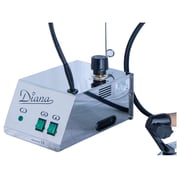 Battistella Steam Generator Diana