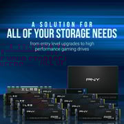 PNY M.2 NVMe Internal Solid State Drive PCIe Gen3 1TB CS2230