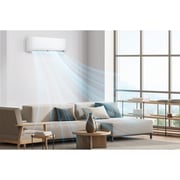 LG 2024 2.5 Ton Split AC with Rotary Compressor
