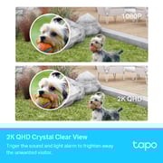 TPLink Tapo C420S1 Smart Security Camera