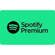 Spotify 3 Months Subscription Pin