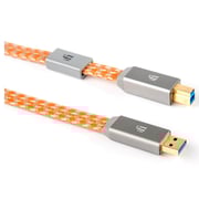 iFi Audiophile Cable Orange