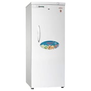 Generaltec Upright Freezer 310 Litres GFU495