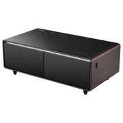 Generaltec Smart Bottle Cooler & Digital Music Table 135 Litres GMBST4DN