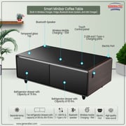 Generaltec Smart Bottle Cooler & Digital Music Table 135 Litres GMBST4DN