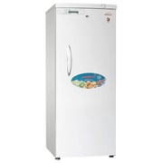 Generaltec Upright Freezer 280 Litres GFU390