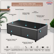 Generaltec Smart Bottle Cooler & Digital Music Table 135 Litres GMBST2BK