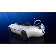 PS5 Astro Bot Game