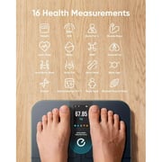 Eufy P3 Smart Weighing Scale T9150K11