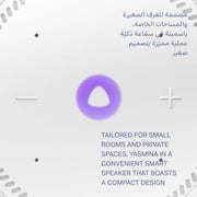 ياسمينا Y-00020 مكبر صوت ذكي متطور مدعم بخاصية الذكاء الاصطناعي الشبيه بالإنسان حجم ميني باللون الرمادي