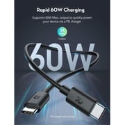 Wiwu RPCB1022 Type C Cable