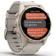 Garmin Fenix 8 AMOLED 43mm Smartwatch Sapphire Soft Gold Stainless Steel With Fog Gray Leather Band Plus Fog Gray/Dark Sandstone Silicone Band 010-02903-40