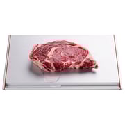 That Inventions Quick Food Defrosting Tray 1pc Set