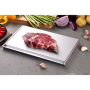 That Inventions Quick Food Defrosting Tray 1pc Set