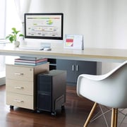 NewStar Adjustable Computer Tower Stand Black