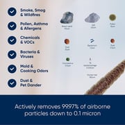 Blueair Air Purifier Pure 511
