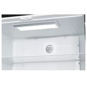 Electrolux French Door Refrigerator 496 Litres EQE4900A-B