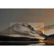 Xiaomi L50MAAME A 4K UHD Smart Television 50inch (2025 Model)