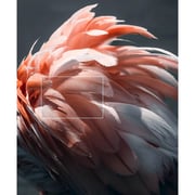 Xiaomi L50MAAME A 4K UHD Smart Television 50inch (2025 Model)