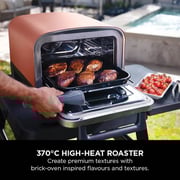 Ninja Woodfire Electric Oven OO101ME