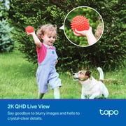 TPLink Tapo C425 Solar-Powered Security Camera Kit