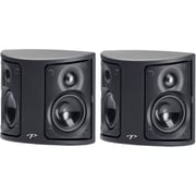 Paradigm Surround One Speaker Surround