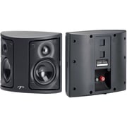 Paradigm Surround One Speaker Surround
