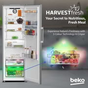 Beko 447L Upright Refrigerator, Single Door, No Frost, Titanium Inox - RLNE500DX