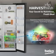 Beko 635L Side-by-Side Refrigerator, NeoFrost Dual Cooling, Dark Inox - GNE741PP