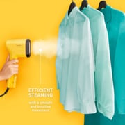Tefal Garment Steamer DT2026G0