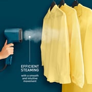 Tefal Garment Steamer DT2020G0