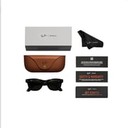Ray-Ban Smart Glasses Wayfarer Large Transitions Matte Black / G15 Green