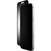 UAG Privacy Screen Protector Black iPhone 16 Pro Max
