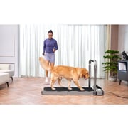 KingSmith WalkingPad R2 2-in-1 Treadmill TRR2FB