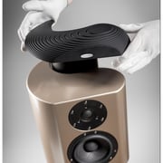 Crystal Cable 3D shape to Speaker Scala