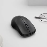 Rapoo Wireless Optical Mouse Black