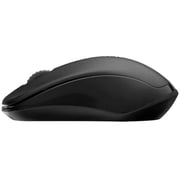 Rapoo Wireless Optical Mouse Black