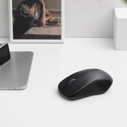 Rapoo Wireless Optical Mouse Black