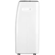 Frigidaire Dehumidifier FD302E