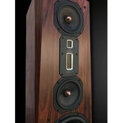 Legacy Audio Rosewood Speaker Focus XD