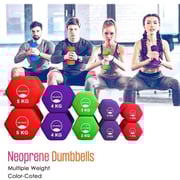 Sparnod Fitness Dumbbells SDN-2_PAIR