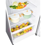 LG 509L Smart Inverter Compressor Top Mount Refrigerator – LT19CBBSIN.APZGNGH