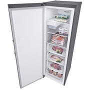 LG 11.4 Cu.Ft ThinQ Smart Inverter Compressor Single Door Freezer – LF131BBSIT.APZGNAG
