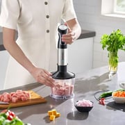 Blaupunkt Hand Blender Set PCM475