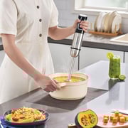 Blaupunkt Hand Blender PBH425